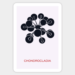 Chondrocladia Sticker